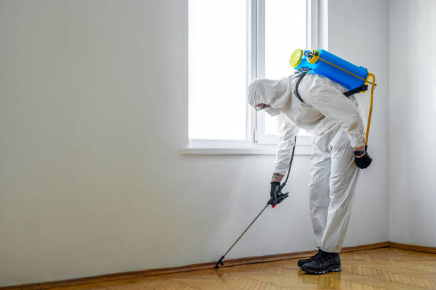 Best Best Pest Control Companies  in Worthington, KY