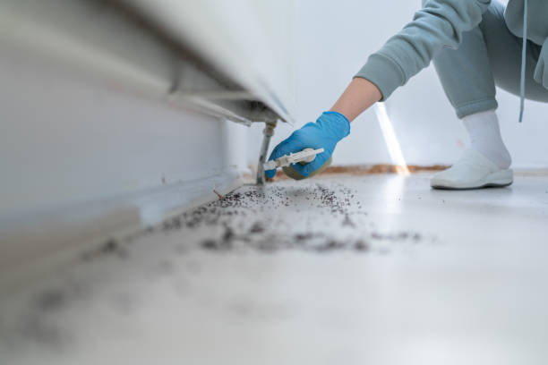 Best Affordable Pest Control Services  in Worthington, KY